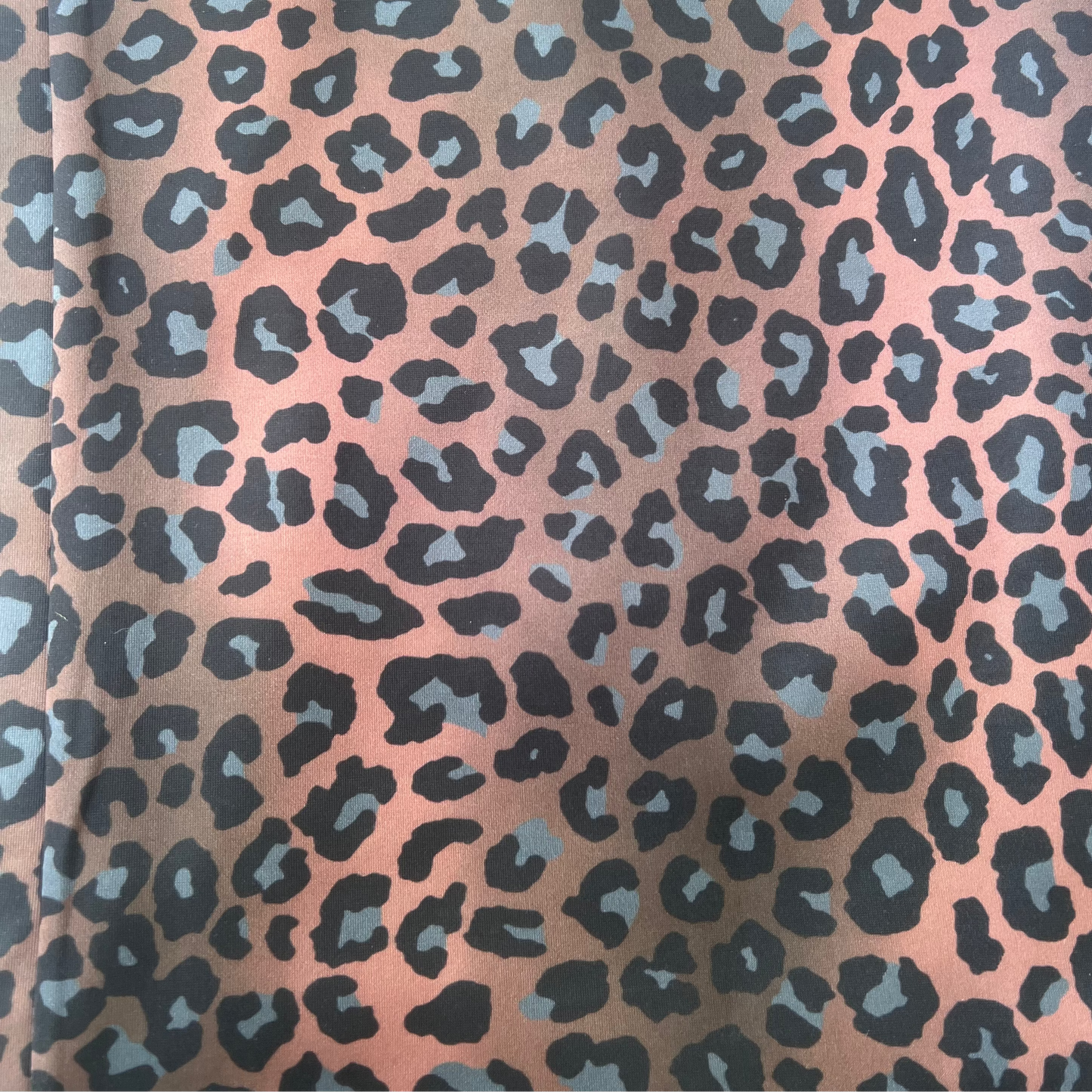 Leonie Leopard track pants